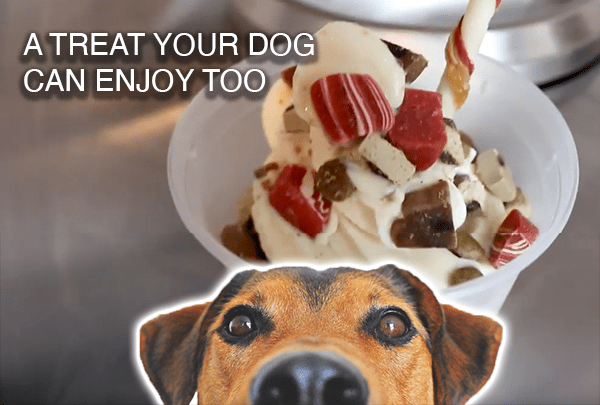 Add a Delicious Pet Friendly Ice Cream - Electro Freeze Southeast