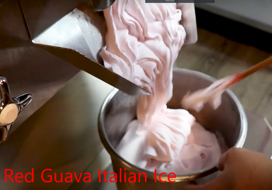 Make Rich Red Guava Italian Ice with ElectroFreeze B12V
